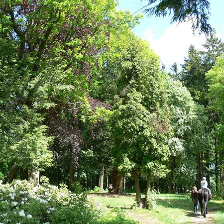 Parkhotel Smržovka Eksteriør bilde